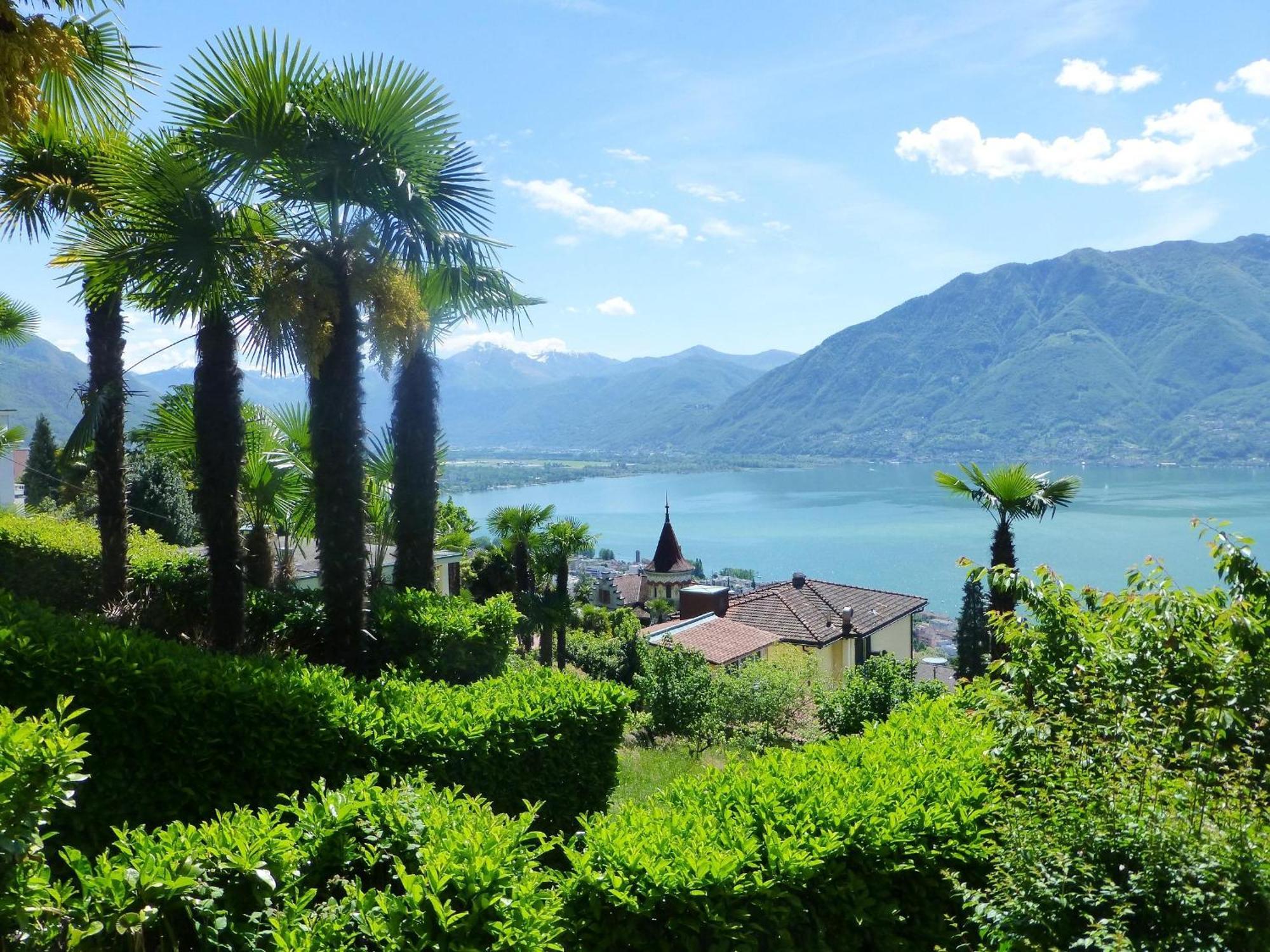 Collina D'Oro C14 By Fewotessin Orselina Exterior photo